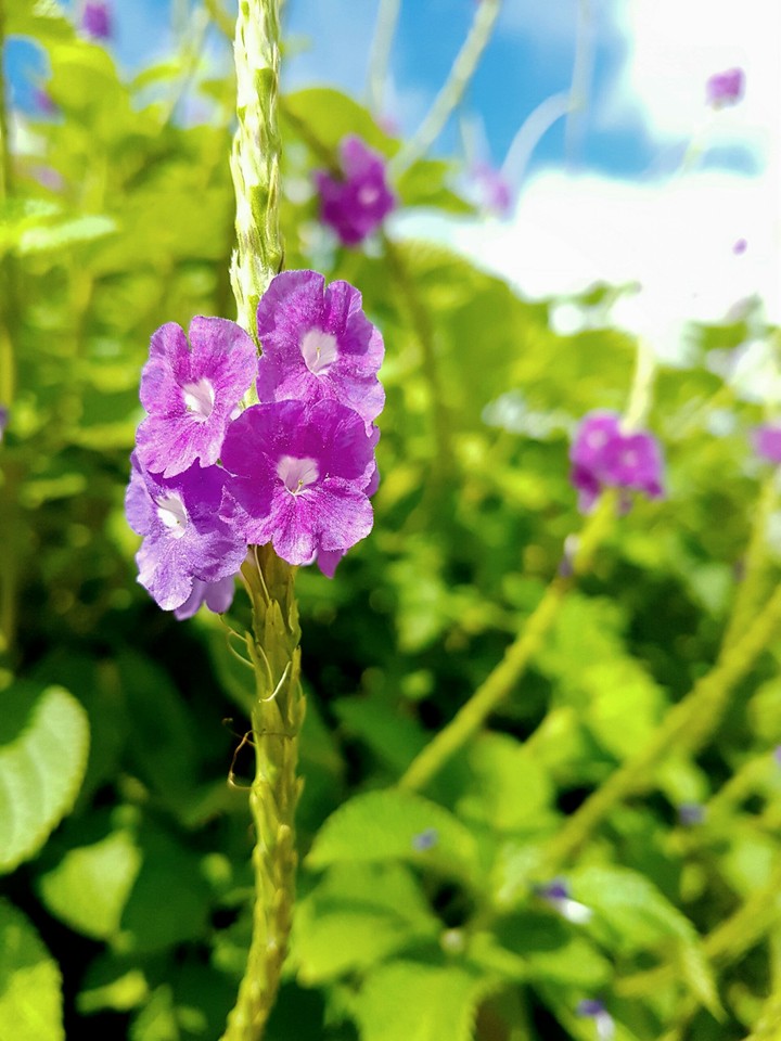 s photography