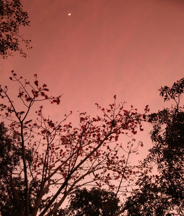 Dusk