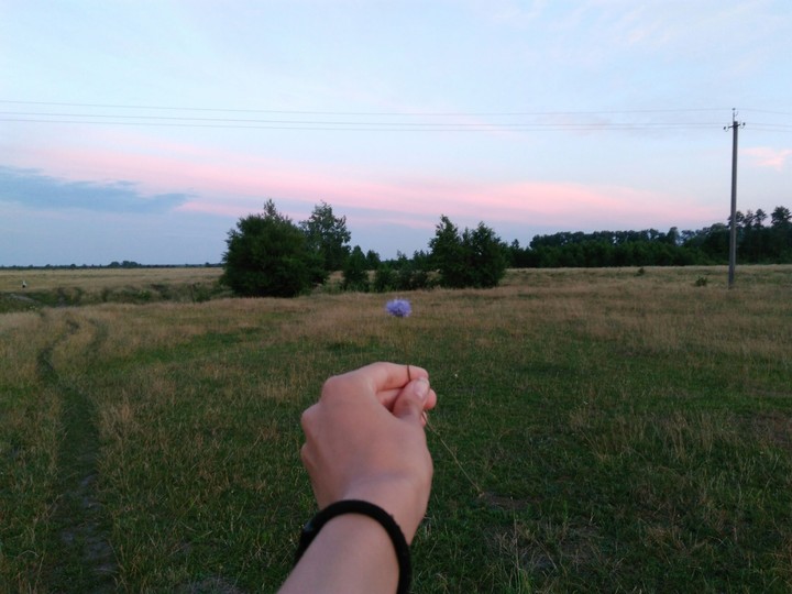 please,  live