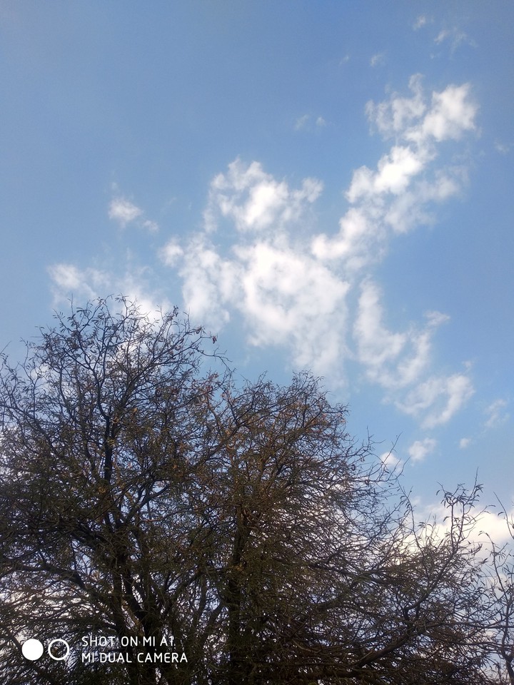 love the sky