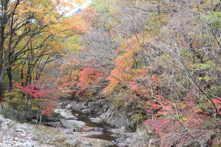 치악산이미지