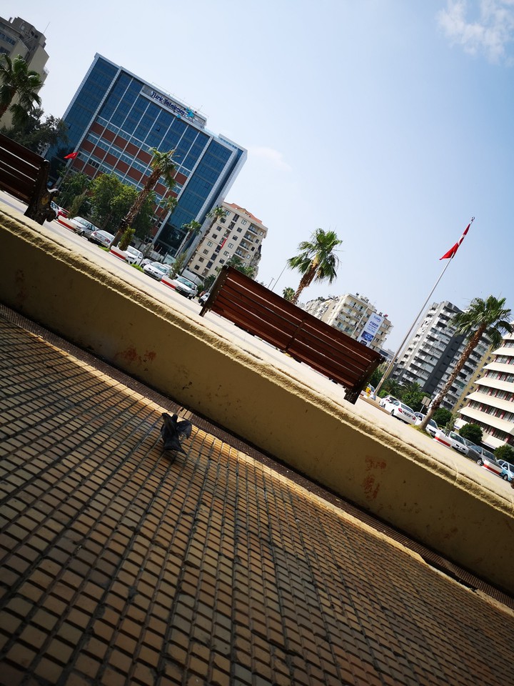 Adana