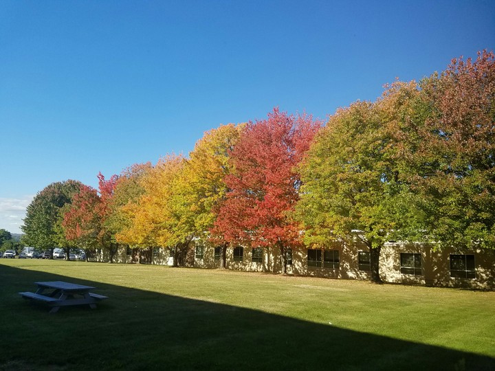 fall