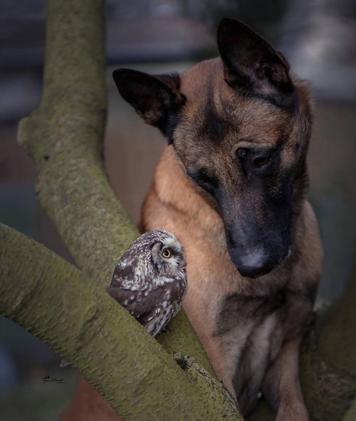 Friend