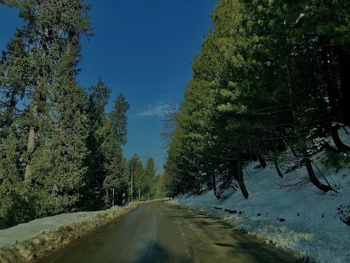kashmir