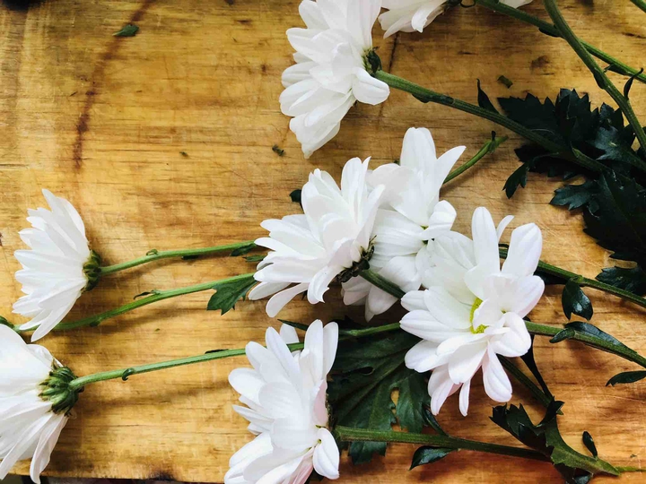 Daisies