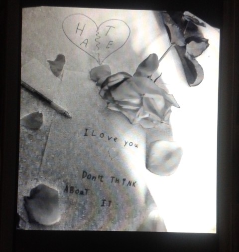 love