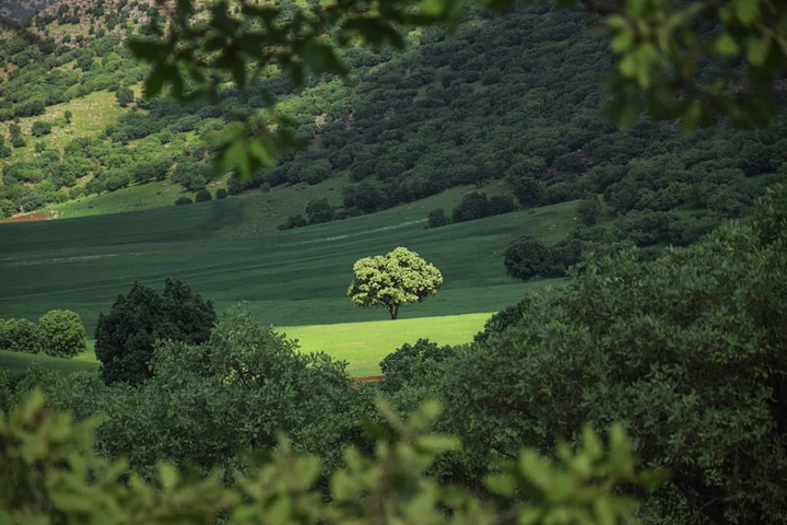 Lorestan Nature