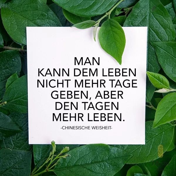 schöne Worte