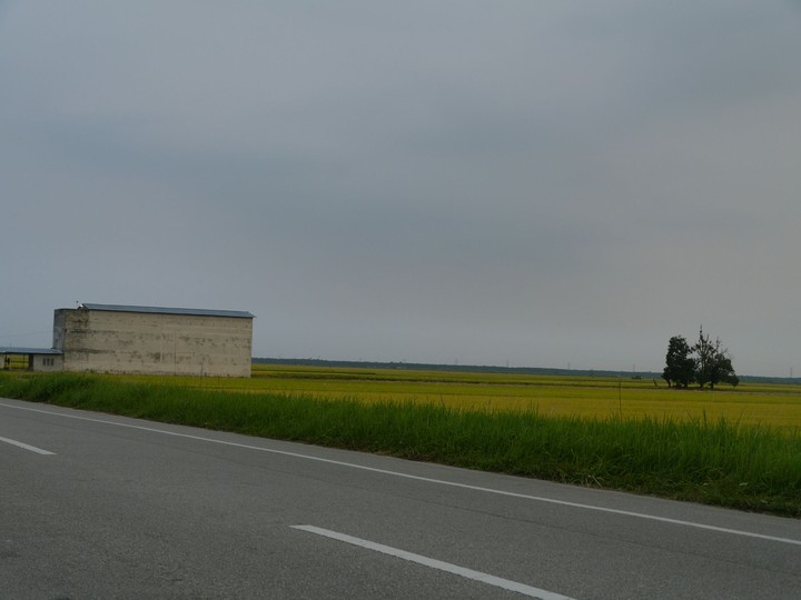 Road view