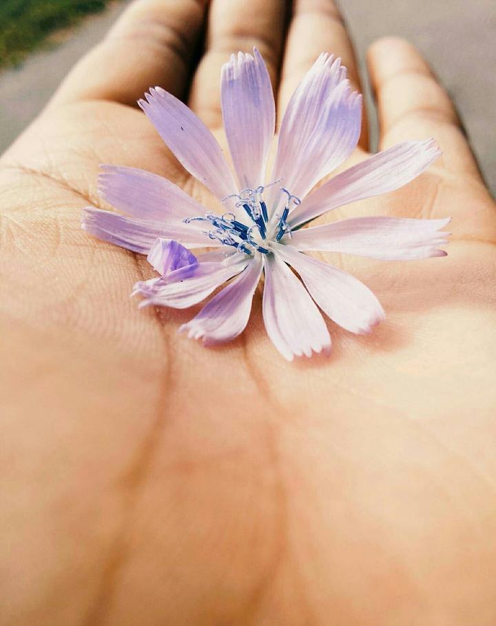 Last of Spring