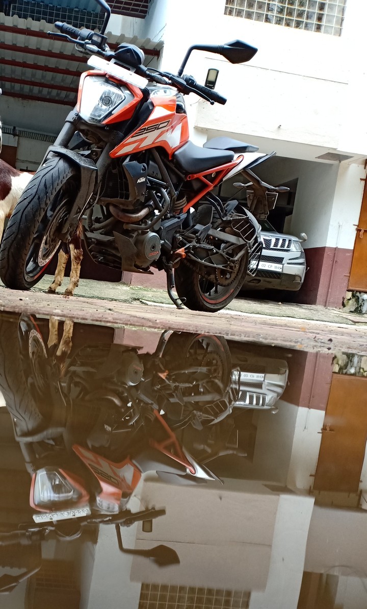 KTM Duke 250