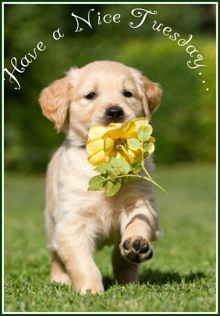 FOR EVERYONE