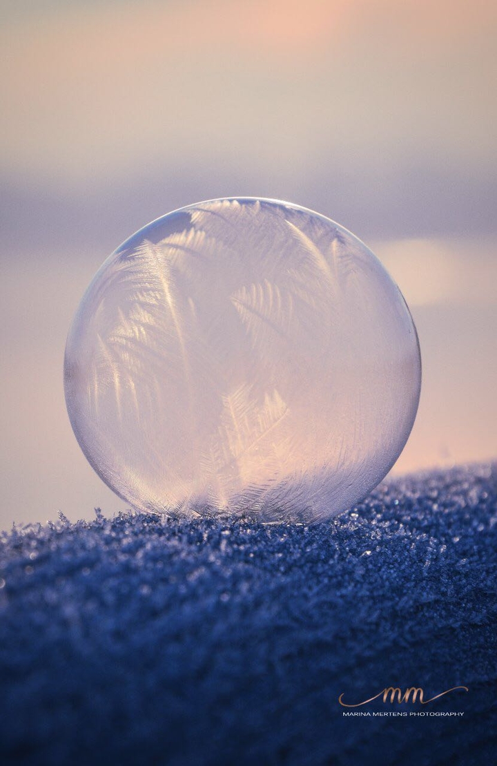 Frozy Morning