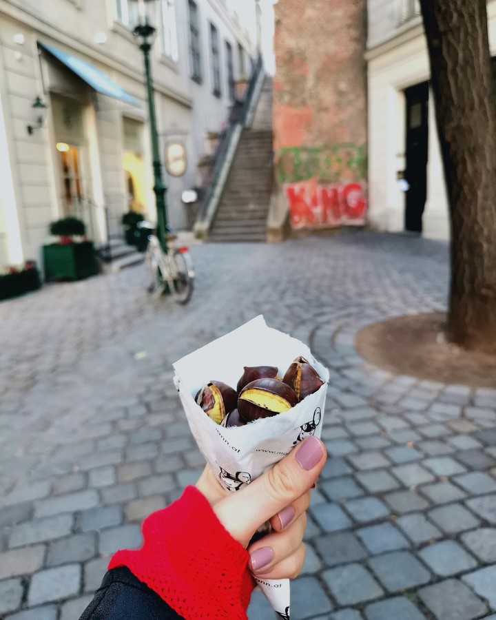 In love with chestnut