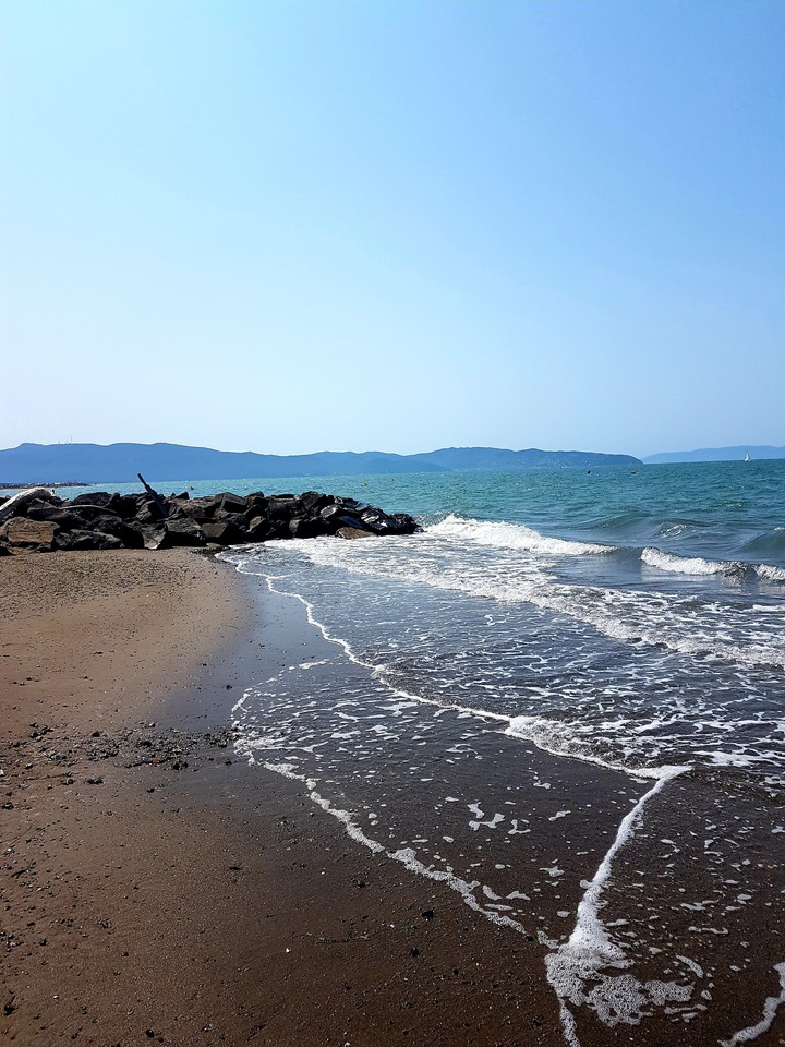 mare