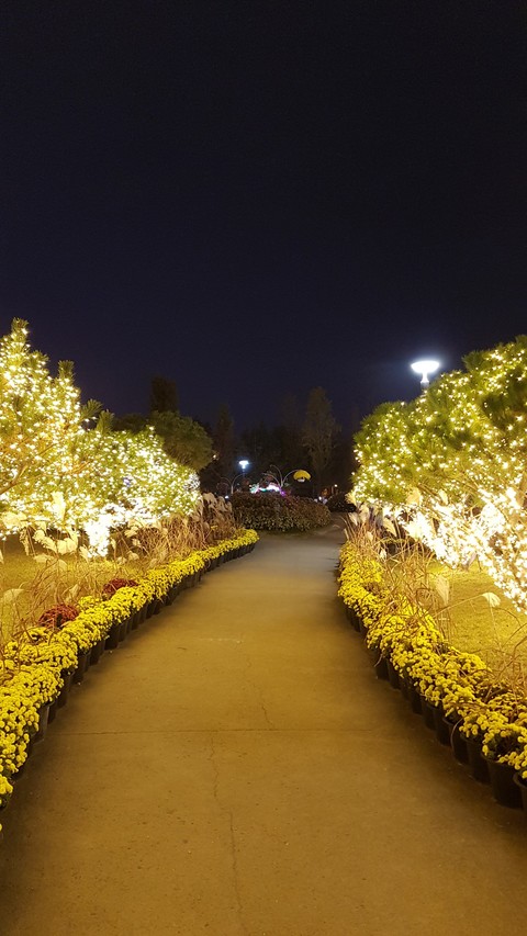 꽃길