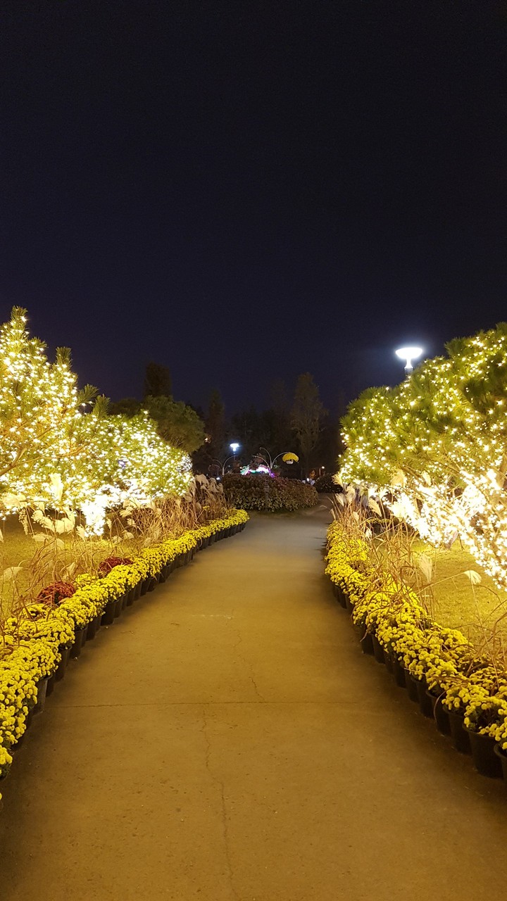 꽃길