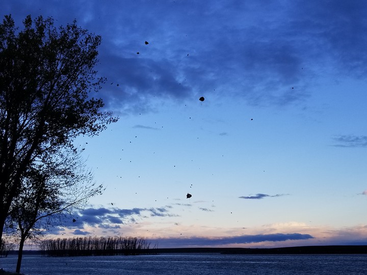 Wind Over the Water