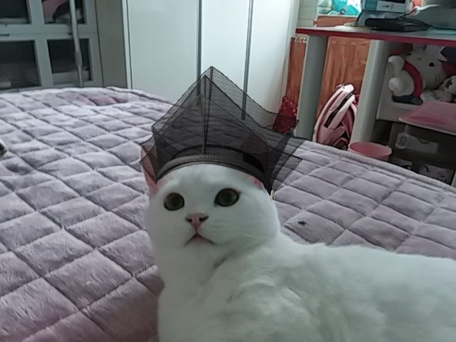 냥냥!