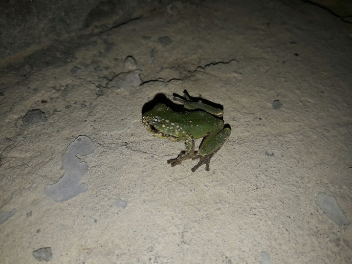 лето