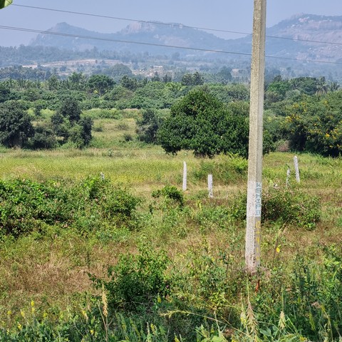 tapety mountain, plain