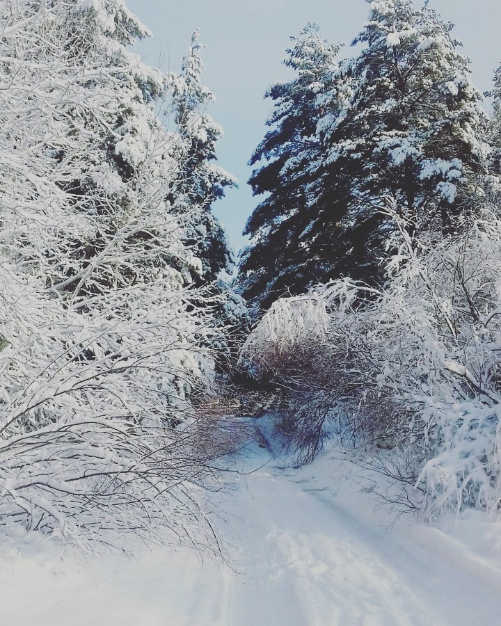 снег