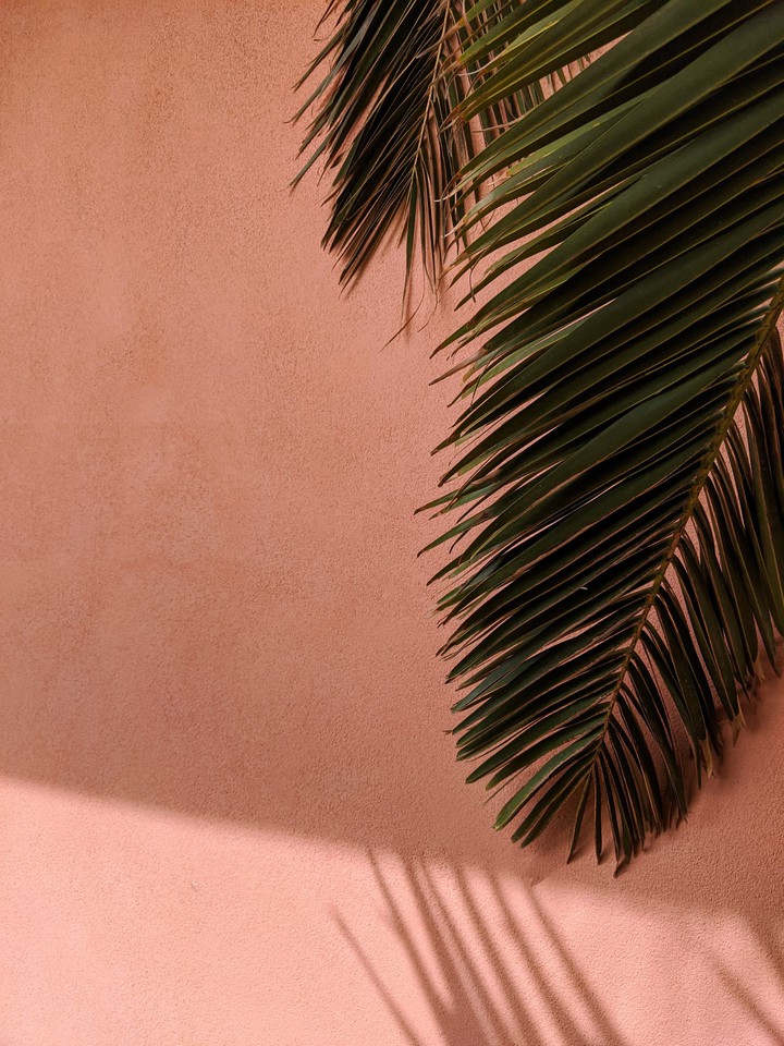 Sicilian tropics