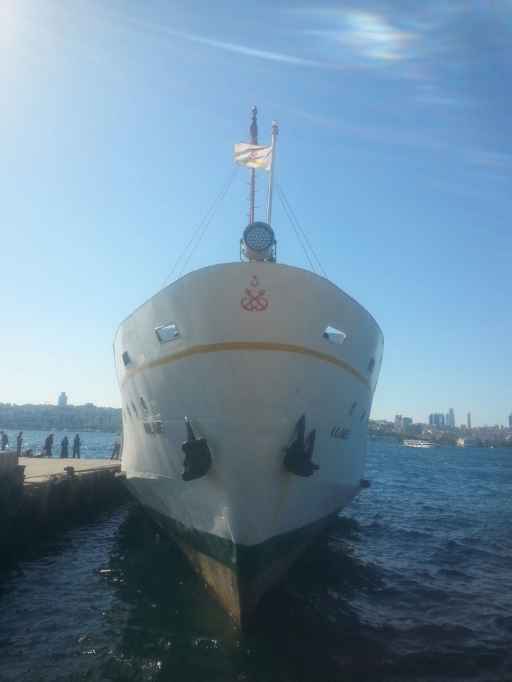 cruise