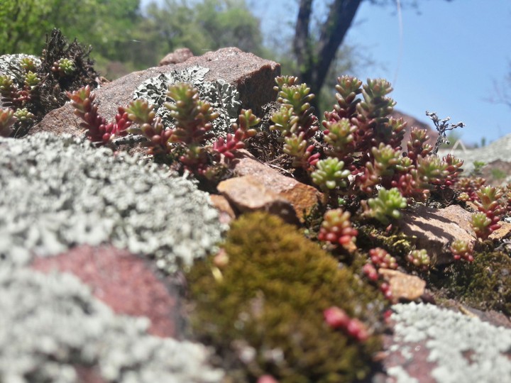 Nature