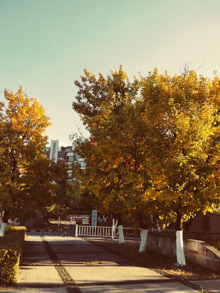 autumn