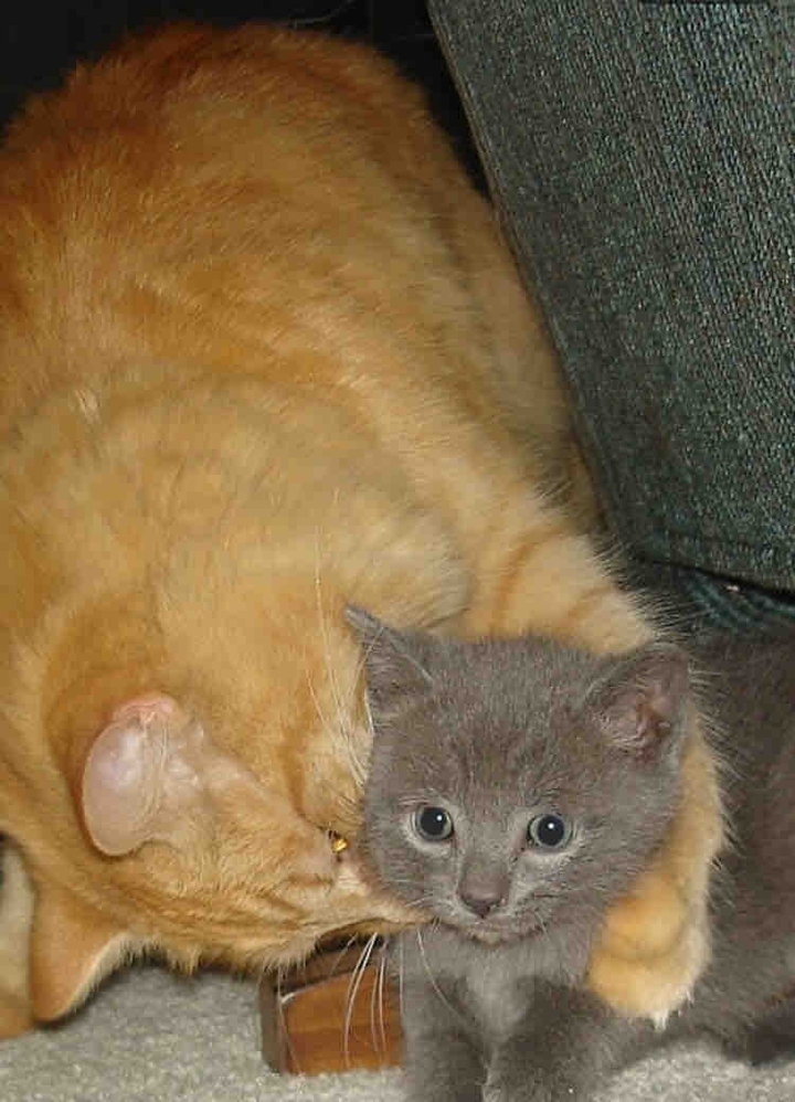 가족♥️