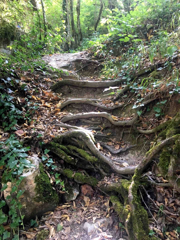 Wood steps