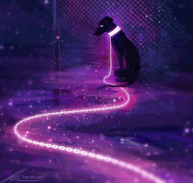 #Alone Dog :(