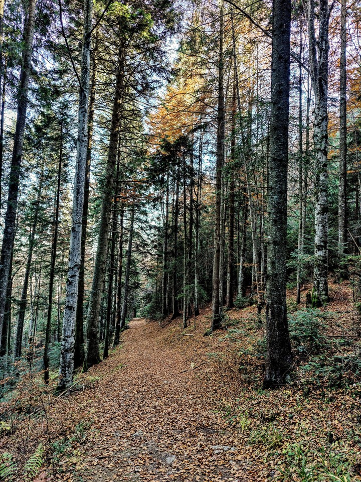 Red Lake Hiking