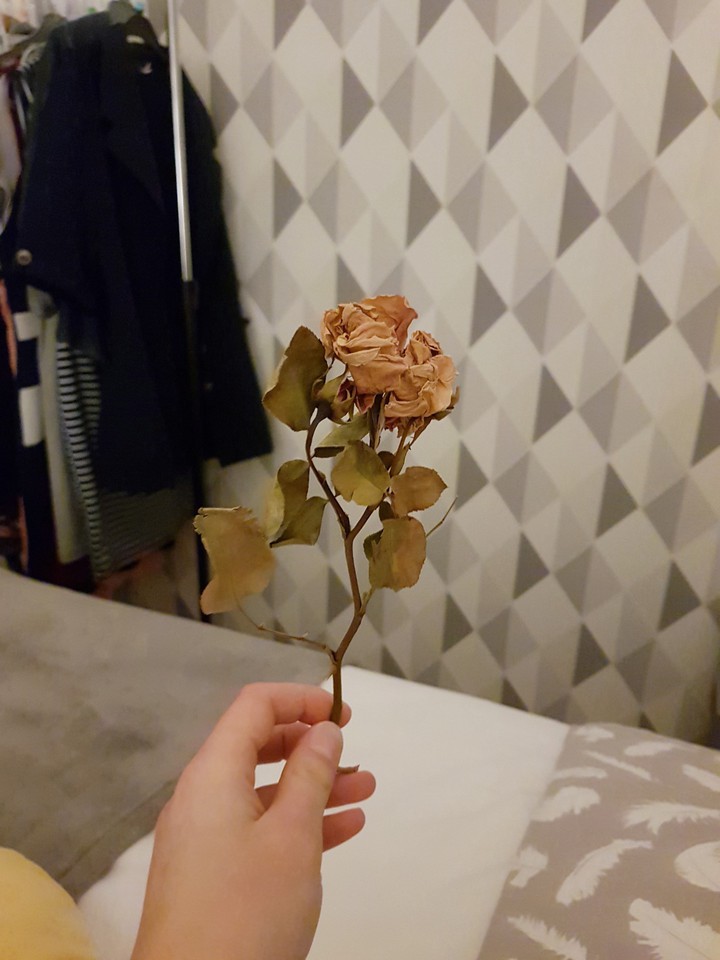 Rose, vie, triste