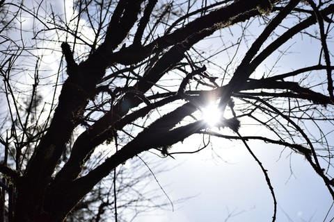 Here comes the sun.