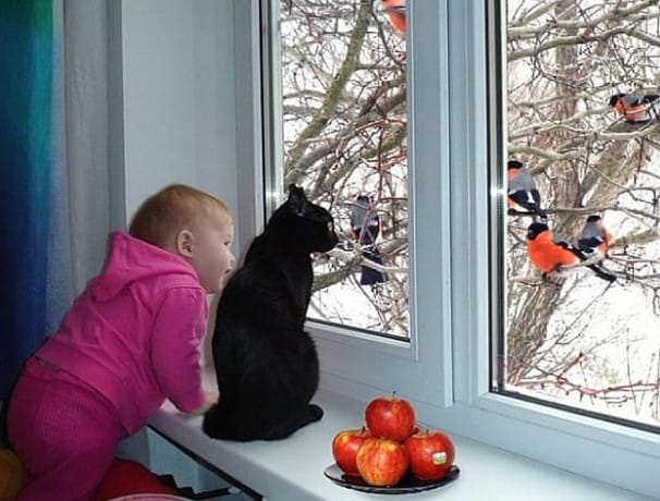 зима ❄