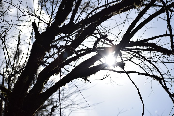Here comes the sun.