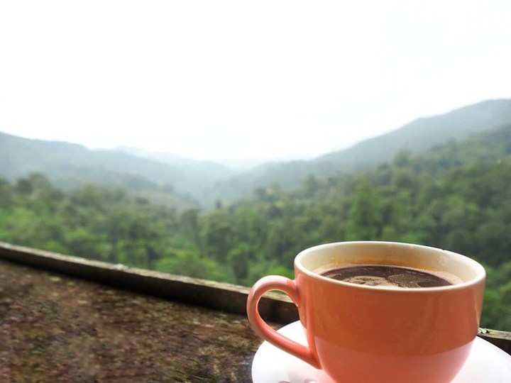 Coffe