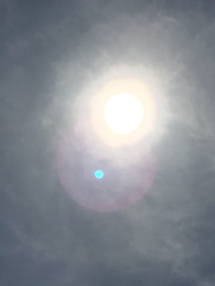 the sun and the suns rays