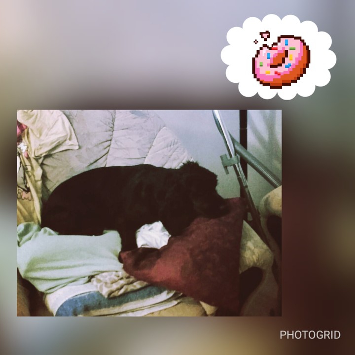 cute and hungry