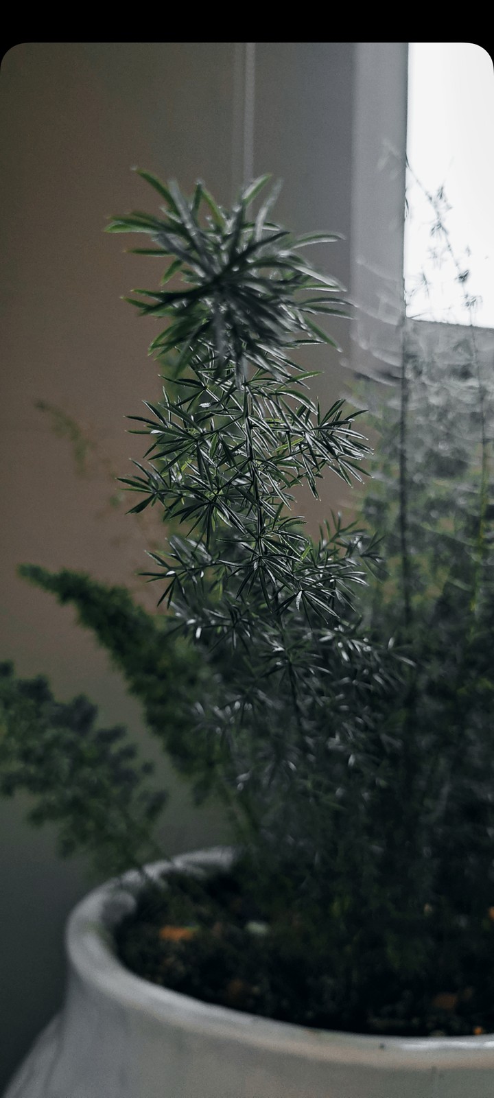 ?HOME GARDEN?