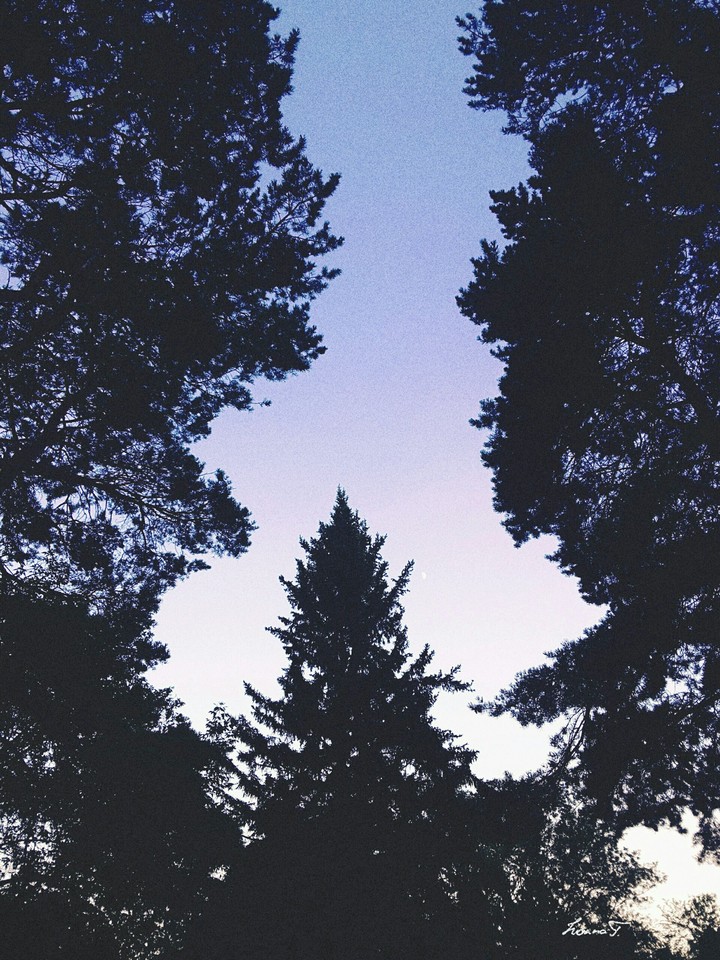 Look up