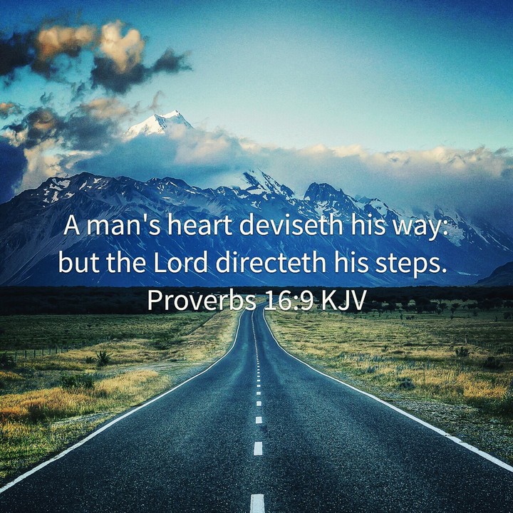 Proverbs 16:9