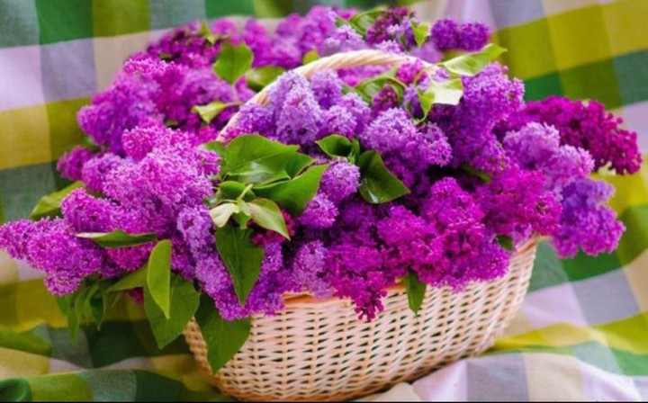 Fleurs