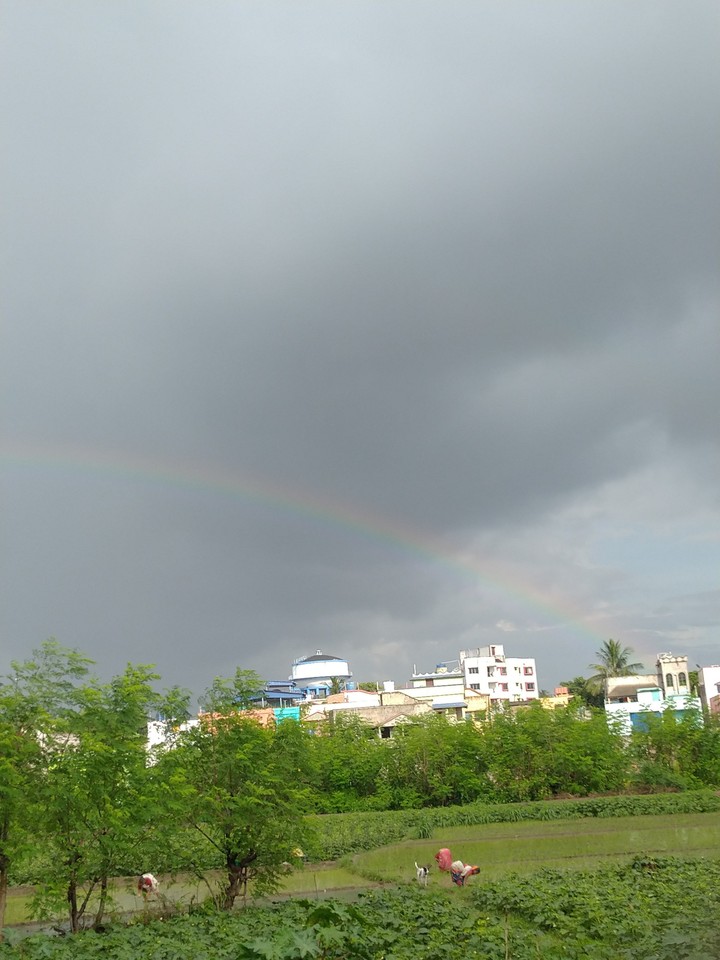 rainbow ?