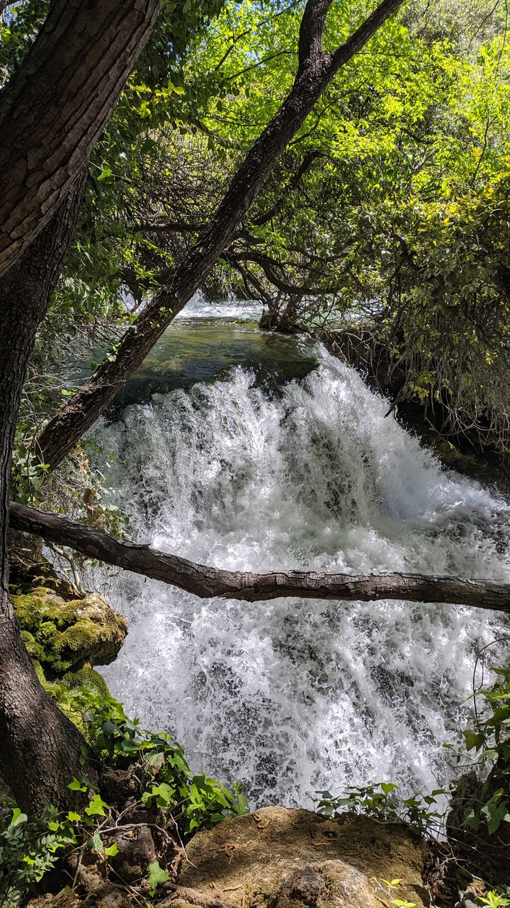 Nature life