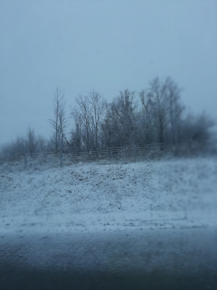 winter