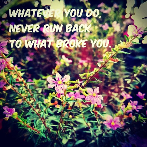 Wisdom.